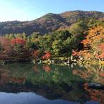 【嵐山紅葉】朝京都で嵐山の紅葉をゆったり楽しんできました♪
