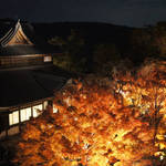 【京都の紅葉ライトアップ】『将軍塚青龍殿』から見下ろす紅葉と京の町