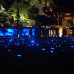 【2019年京都の紅葉ライトアップ】神秘的な青い星がまたたく日本庭園！『青蓮院門跡』