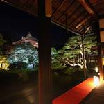 【2019年 京都の紅葉ライトアップ】事前予約でゆったり楽しめる『鹿王院夜間特別拝観』