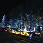 【2017京都イルミネーション特集】大学キャンパスを彩るイルミネーション！学生の手づくり感にほっこり☆「平安女学院 アグネス」【京都府庁スグ】