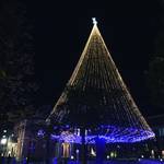 【2017京都イルミネーション特集】国内2番目の高さを誇るヒマラヤスギのクリスマスツリー！「同志社大今出川キャンパス」
