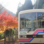 紅葉のトンネルをくぐると？四季折々の景色が楽しめる「叡山電車」に乗るっ！