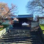 【2017京都紅葉最新】洛北の古刹もすっかり散紅葉！小さな桂離宮とも称される☆「曼殊院門跡（まんしゅいんもんぜき）」