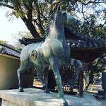 【京都神社めぐり】ご利益総なめの『京都十六社朱印めぐり』13社目！競馬ファンも必訪☆「藤森神社」