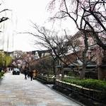【2018直近桜情報】京都らしい情緒あふれる人気桜スポットをパトロール☆「祇園白川」