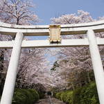 桜のトンネルと逆立ちの狛犬がお迎え！「宗忠神社（むねただじんじゃ）」