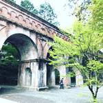 【京都桜パトロール】人気観光スポット最終章！桜の見頃終盤☆すでに新緑の季節の兆し☆「南禅寺」