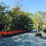 京都祇園屈指の夜桜スポット！桜の見頃終盤！！そろそろ青柳が台頭☆「祇園白川」