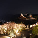 桜と京都の夜景を一望できる「将軍塚青龍殿」限定ライトアップ