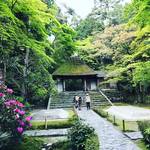 【京都寺めぐり】東山の新緑シーズン到来！季節の花も咲き乱れる穴場的空間☆鹿ケ谷「法然院」