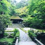 【京都寺めぐり】梅雨入り前の青もみじ見納め！紫陽花も咲き始め☆鹿ケ谷「法然院」