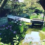 【京都季節の花】花菖蒲満開！無料で見れます！！南禅寺界隈の数寄屋造りの別邸「野村碧雲荘」