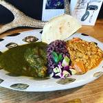 【京都カレーめぐり】女性店主の京都イチ人気のスパイスカレー専門店！色鮮やかな合がけ必食◎「森林食堂」