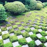 【京都苔名所探訪】梅雨明け前に名庭・新緑の市松模様苔必見！日本最古にして最大級の伽藍☆「東福寺」