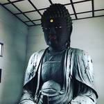 【京都珍百景】なななんと！京都に大仏が？？知る人ぞ知る超穴場『伏見の大仏』必拝☆「清涼山 欣浄寺（ごんじょうじ）」