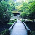 【京都寺めぐり】文豪・谷崎潤一郎眠る墓には命日参拝☆緑に包まれた白砂壇は珍客の気配「法然院」