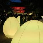 【京都】世界遺産でチームラボによる光のイベント「下鴨神社 糺の森の光の祭」開催中！