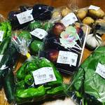 【京都産直市場めぐり】京都山城の野菜や果物が満載！名産品いちじくは今が旬☆JA京都やましろ直売所「五里五里市」