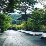 【2018最新】リアルな京都紅葉情報！台風一過で秋加速！！京都屈指の紅葉名所「永観堂」