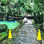 【京都お寺めぐり】白砂壇の砂絵で癒される！台風被害で復旧作業ボランティア募集中☆鹿ケ谷「法然院」