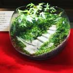 【京都苔めぐり】苔マニア必見！有名寺院の庭園がジオラマ苔アートに☆嵯峨野・紅葉の名所「常寂光寺」