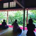 【京都苔めぐり】苔マニア必見！有名寺院の庭園が苔アートに☆洛北エリアの紅葉の名刹「圓光寺」