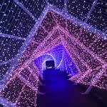 るり渓温泉のライトアップイベントがパワーアップ「シナスタジアヒルズ」