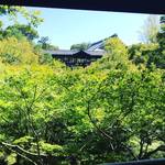 【京都苔めぐり】苔マニア必見！有名寺院の庭園がジオラマ苔アートに☆京都随一の紅葉名所「東福寺」