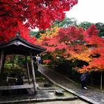【そうだ京都行こう】今秋はココ！紅葉シーズン直前徹底解剖☆JR東海全面推しスポット「一休寺」
