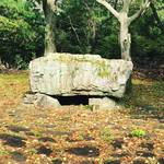 【京都古墳めぐり】秋の無料特別公開もあり！石室で古代ロマン体験☆「大枝山古墳群（桂坂古墳の森）」