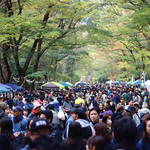 待ち遠しいイベントの日がやって来た！「糺の森ワンダーマーケット」10/28開催！【下鴨神社・糺の森】