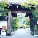 【2018京都紅葉最新】ぐるっと東山の紅葉名所をパトロール！南禅寺～永観堂～安楽寺～法然院～他