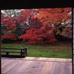 【京都紅葉特集】人形の寺と親しまれる「宝鏡寺」で人形展と紅葉を楽しむ