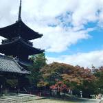 【2018京都紅葉最新】ぐるっと紅葉名所をパトロール！今戒光明寺～真如堂（真正極楽寺）～頂妙寺【11月1日時点】
