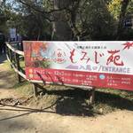【2018京都紅葉最新】ぐるっと紅葉名所をパトロール！大徳寺・高桐院～今宮神社～平野神社～北野天満宮【11月5日時点】