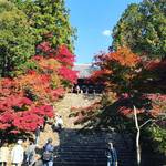 【2018京都紅葉最新】紅葉名所をパトロール！今が見頃☆高雄山の絶景スポット「神護寺」【11月10日時点】