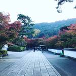 【2018京都紅葉最新】紅葉名所をパトロール！洛東エリア☆疏水～永観堂～安楽寺～法然院【11月11日時点】