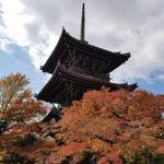 京都 岡崎エリアの人気紅葉スポット「金戒光明寺・真如堂」