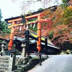 【2018京都紅葉最新】嵯峨野エリアを紅葉パトロール！まさにピーク到来☆祇王寺・常寂光寺・二尊院他【11月24日時点】
