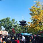 【京都縁日めぐり】世界遺産・東寺で700年以上の歴史！1000以上出店する最大級青空市☆「東寺弘法市」