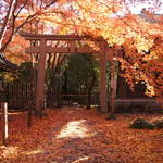 洛北に位置する隠れた紅葉の名所「蓮華寺（れんげじ）」