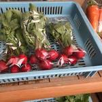 風情ある北嵯峨「 広沢の池」で採りたてお野菜を格安ゲット！