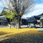 【2018京都紅葉最新】晩秋の境内には黄金に輝く銀杏の絨毯☆「佛光寺」【12月5日時点】