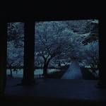 【京都雪景色】早起きは三文の徳！朝活座禅会で白銀の絶景☆人気観光スポット「南禅寺」