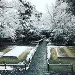 【京都お寺めぐり】お忍び感漂う境内の雪化粧！冬らしい装いの白砂壇も絶妙な風景に☆鹿ケ谷「法然院」