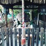【京都珍神社めぐり】西陣のど真ん中に鎮座！怪奇現象を引き起こした巨大霊石を祀る☆「岩上神社」