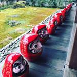 【京都お寺めぐり】珍百景！節分祭は圧巻のだるまづくし！！ハズレなしの福引券付福豆も☆「法輪寺（達磨寺）」