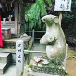 【京都神社めぐり】哲学の道スグの山野草彩る『ねずみの社』！カワイイ狛ねずみ必見☆「大豊神社」