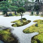 【京都お寺めぐり】紫式部邸宅跡！そして源氏物語執筆の地☆豊臣秀吉の築いた御土居も残る「廬山寺（ろざんじ）」